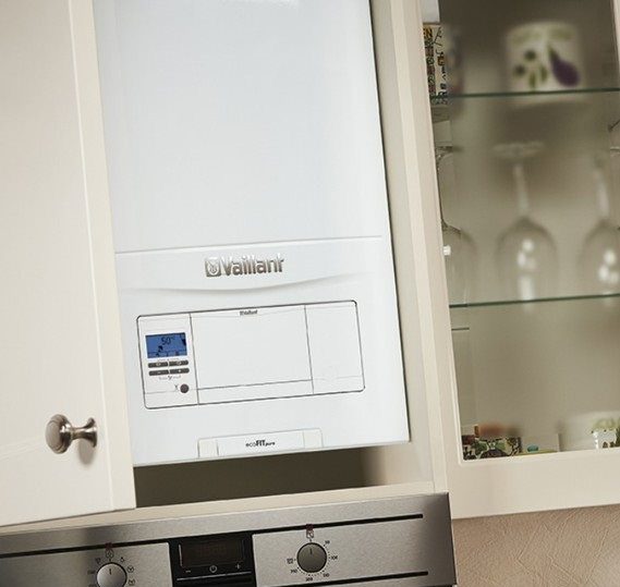 vaillant cropped